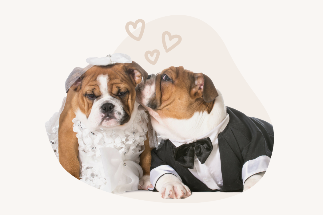 Wie uitnodigen op bruiloft? 1 op 7 bruidsparen heeft achteraf spijt