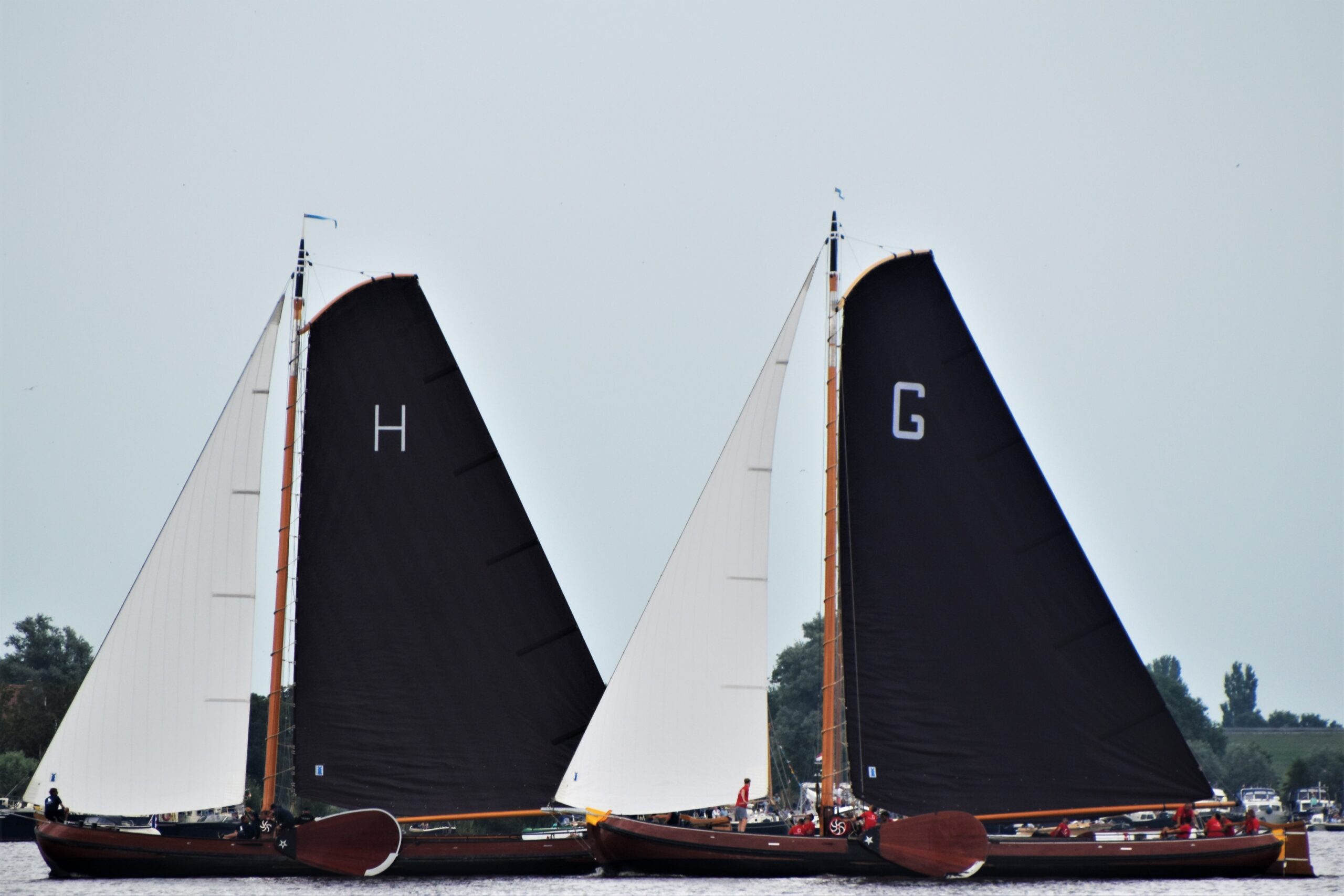 Grou slaat zijn slag op IJsselmeer bij Stavoren