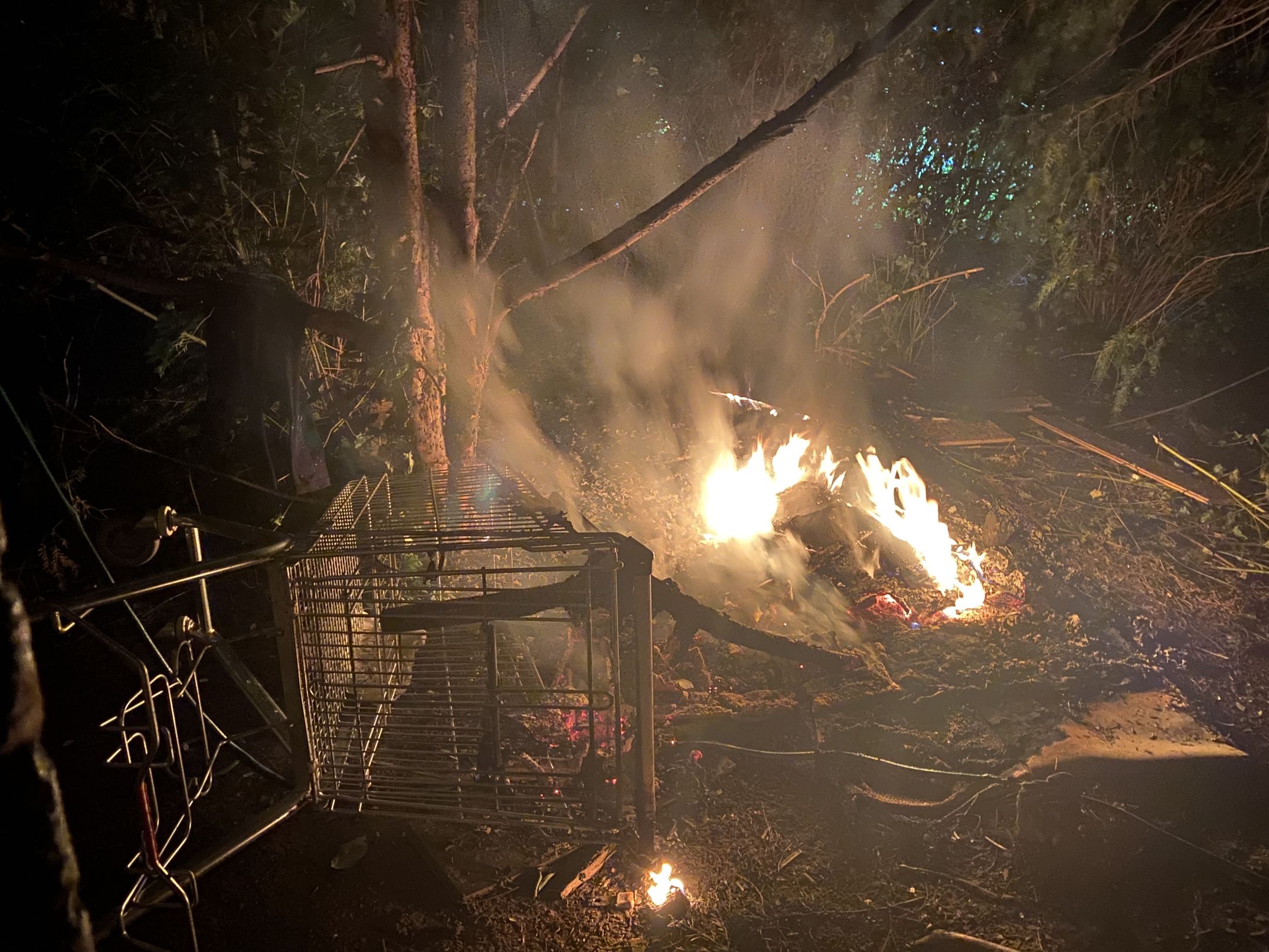 Vlammen bij brand in bosschage aan Bleeklaan in Leeuwarden