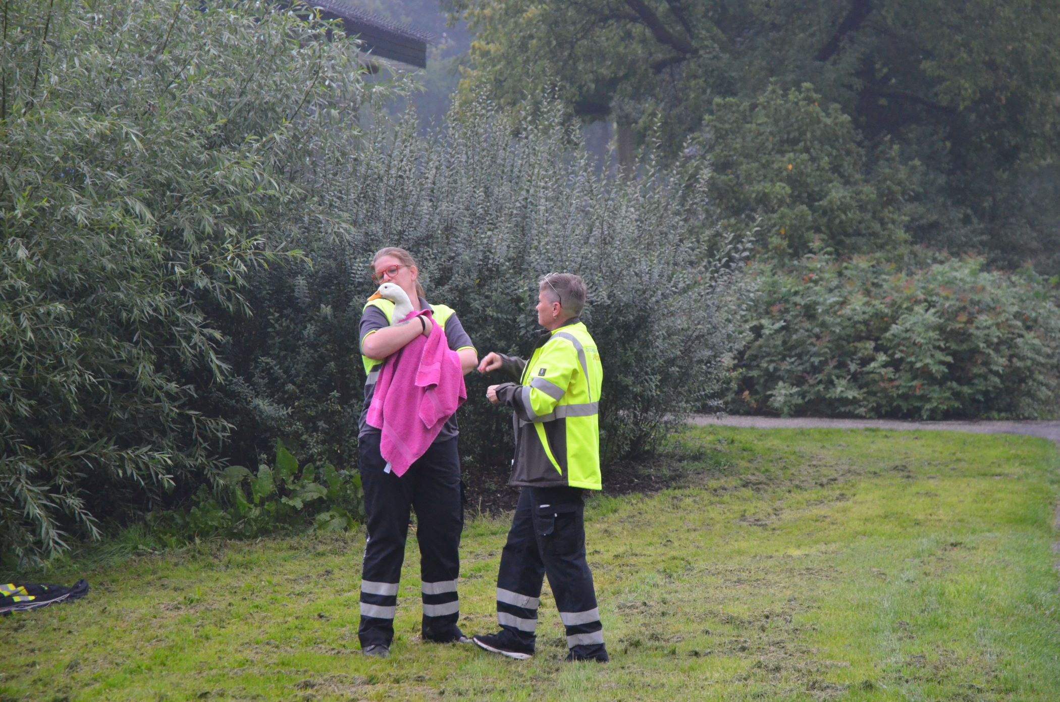 Eend raakt met snavel verstrikt in visdraad in Leeuwarden
