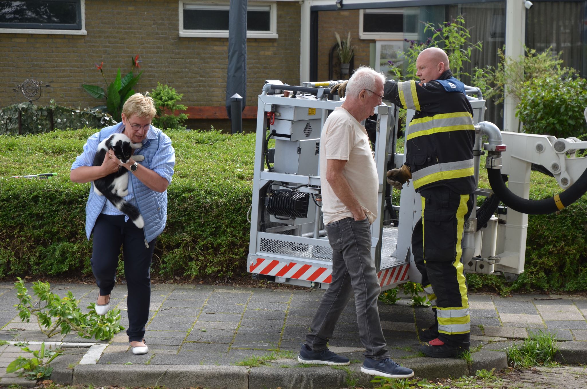 Kat uit boom gered door brandweer in Leeuwarden
