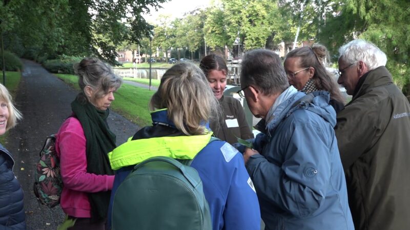 VIDEO: Speciale dag voor groene vrijwilligers in Natuurmuseum 