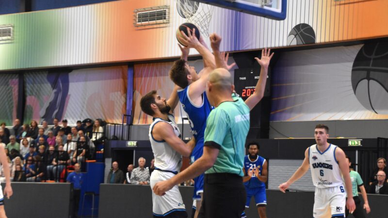 LWD basket zwaar onderuit tegen Landstede Hammers Zwolle