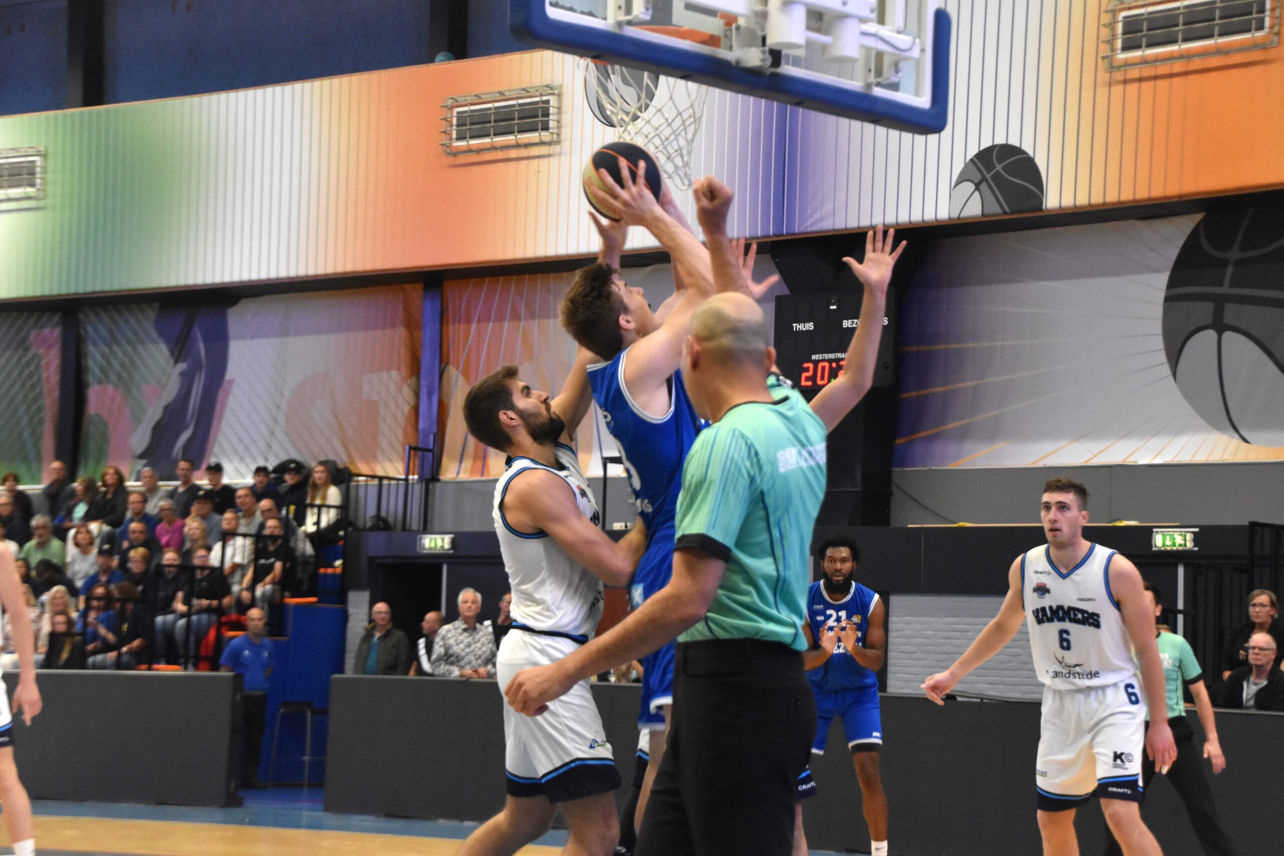 LWD basket zwaar onderuit tegen Landstede Hammers Zwolle