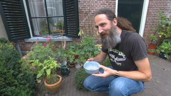 Wetenschappers verwachten muggenplaag: “De omstandigheden zijn perfect”