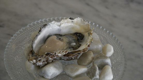 Enthousiast over de parel van Grou: “Ik had nog nooit een echte gezien”