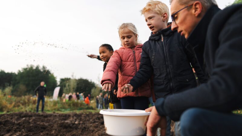 Leerlingen zaaien insectenidylle in Himpens-Tearns
