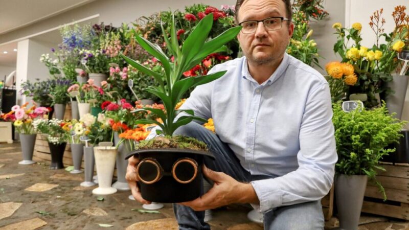 Geef jij de Grou Bloeit plant een mooie naam?