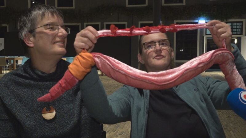 Leeuwarden is bodembeestenstad van 2023