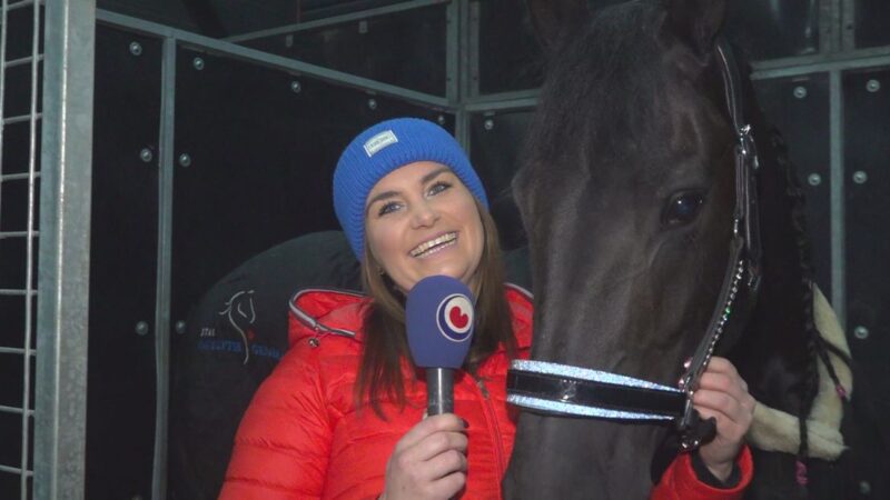 Hengstenkeuring wordt ieder jaar een groter spektakel: “Sta iedere keer weer versteld”