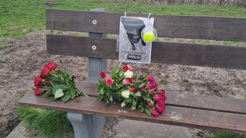 Hond overleden die ziek werd na illegale dumping in Groene Ster te Leeuwarden