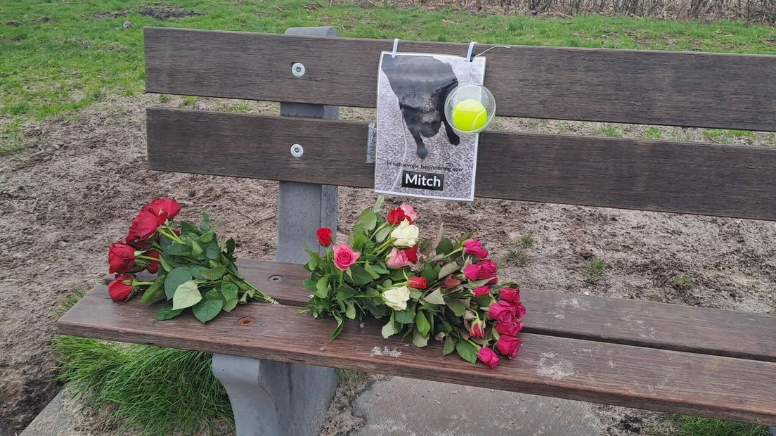 Hond overleden die ziek werd na illegale dumping in Groene Ster te Leeuwarden