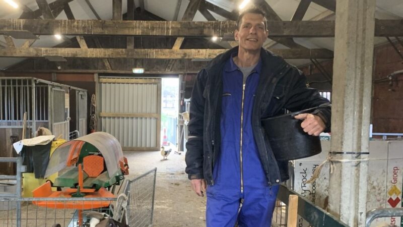 Stinkdieren voor het hek: kinderboerderij in Leeuwarden maakt gekke dingen mee