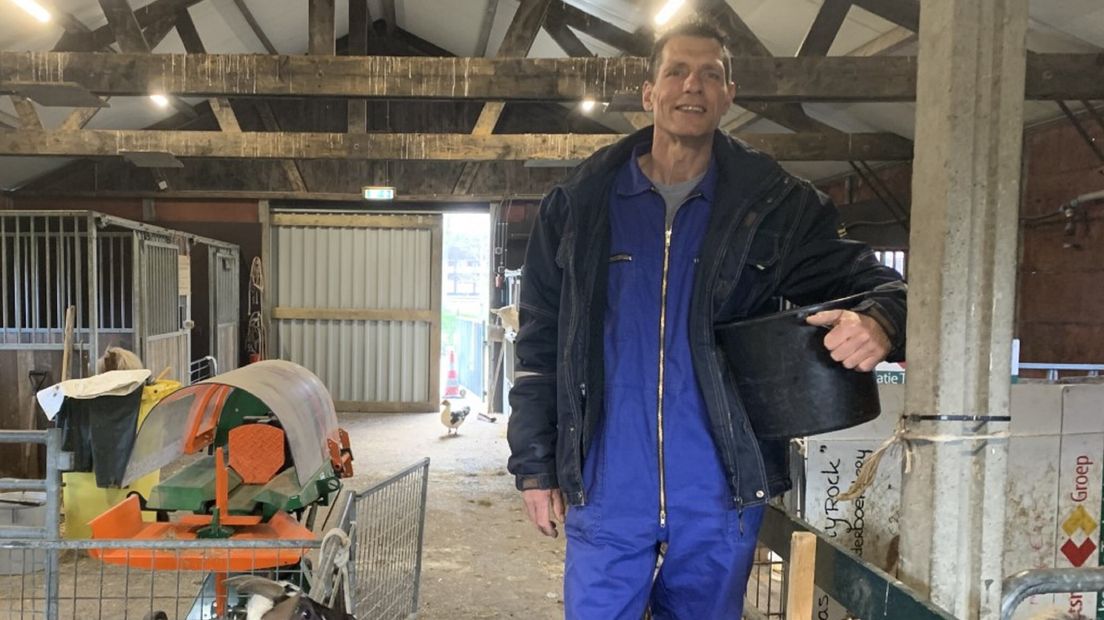 Stinkdieren voor het hek: kinderboerderij in Leeuwarden maakt gekke dingen mee