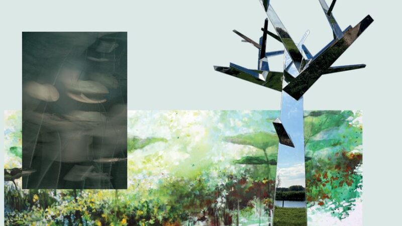 AUDIO: Maart in het teken van kunst in Natuurmuseum Fryslân