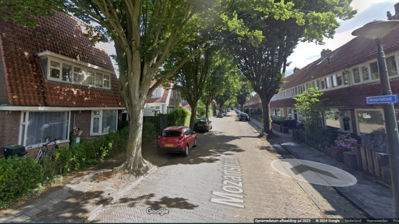 Kap en herplant van bomen in de Mozartstraart te Leeuwarden