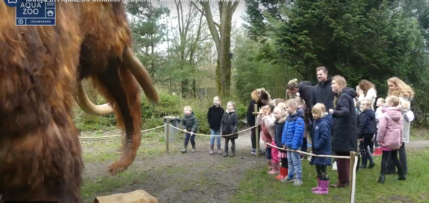 VIDEO: “Mammoet word wakker!”