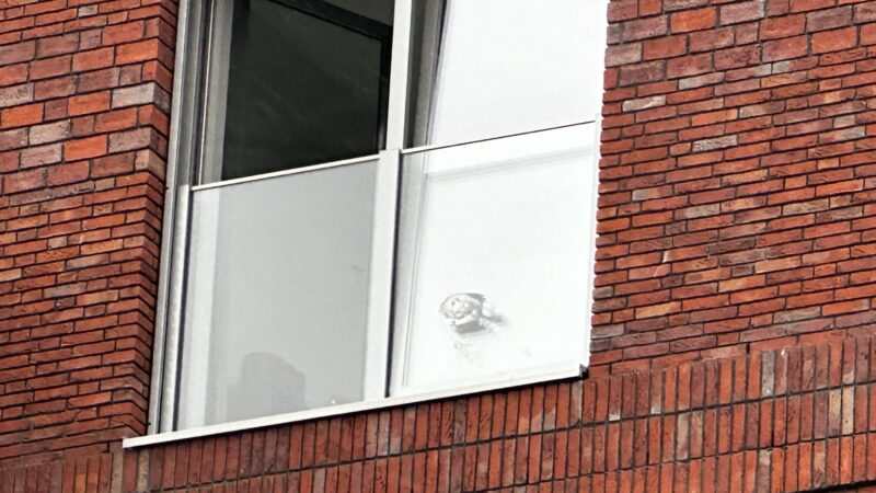 Brandweer redt duif in Leeuwarden die ingeklemd zat tussen een raam en een glazen plaat