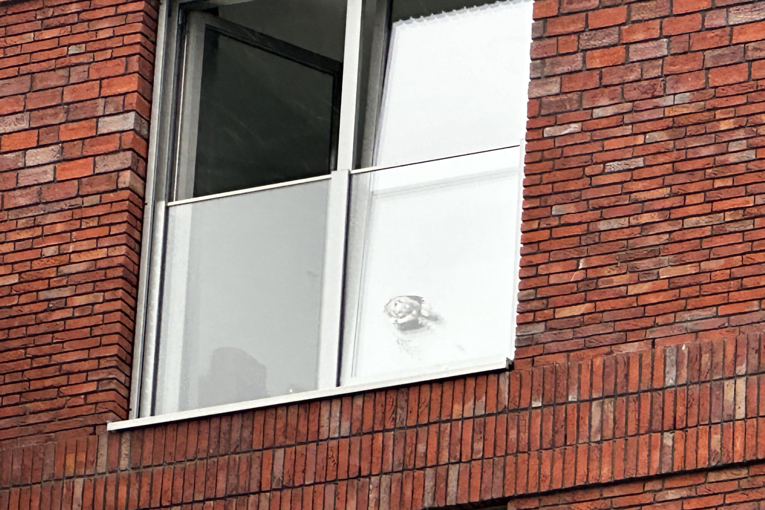 Brandweer redt duif in Leeuwarden die ingeklemd zat tussen een raam en een glazen plaat