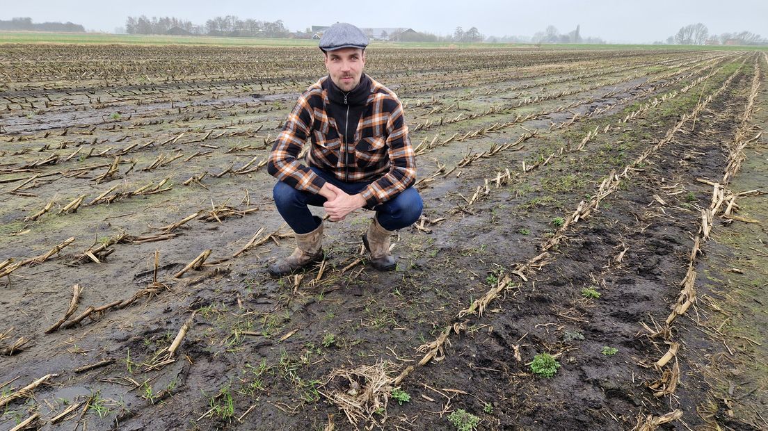 Anne Wind vindt opnieuw eerste kievitsei van Fryslân