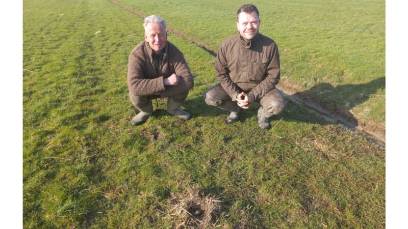 Klaas Stapensea en Ewout Schröder vinden eerste kievitsei gemeente Leeuwarden