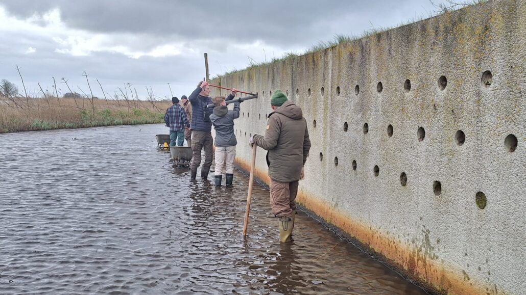 De zwaluwen kunnen komen! Zwaluwwand Trije Hûs weer gereed