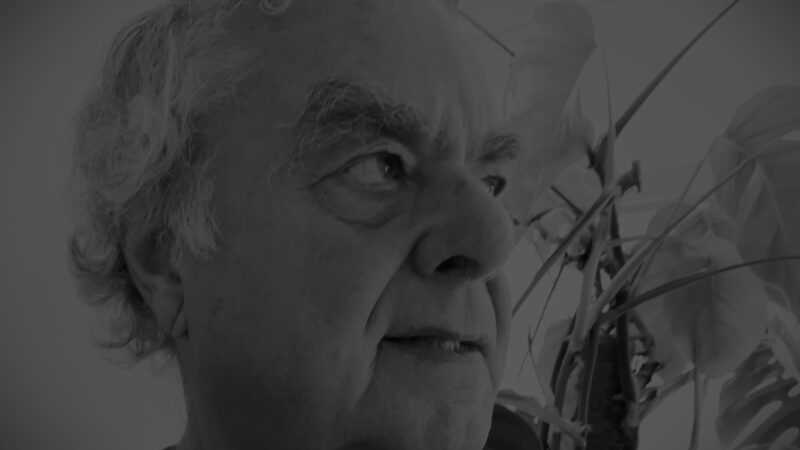 Column: Nieuw jasje BNXT League Basketbal doodsteek of redding