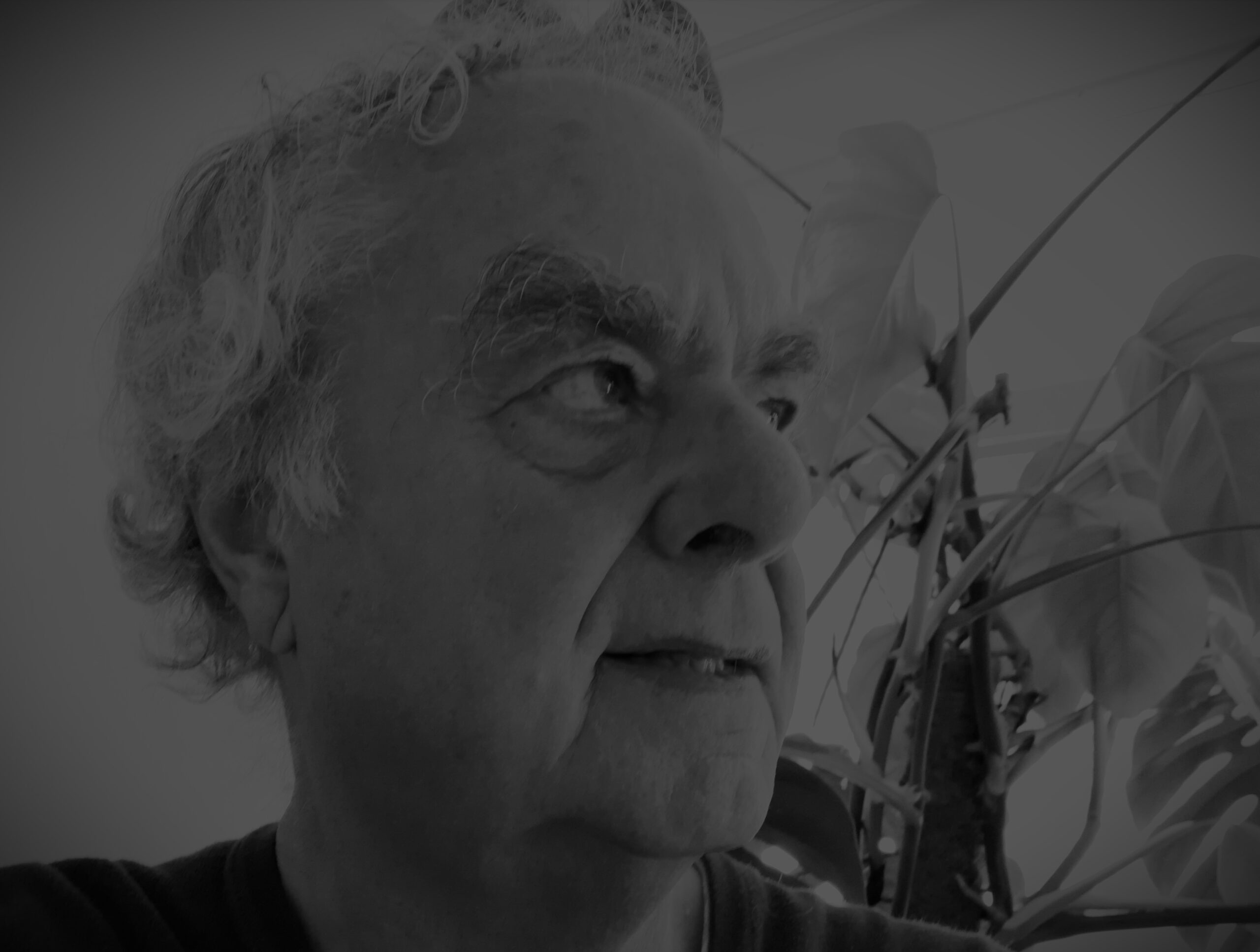 Column: Nieuw jasje BNXT League Basketbal doodsteek of redding