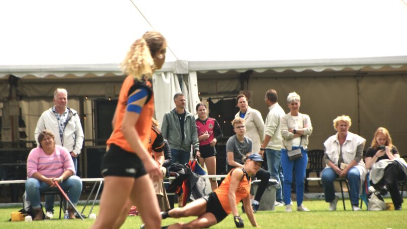 Krol, Wielinga en Lycklama à Nijeholt winnen Gouden Wilhelmina partij