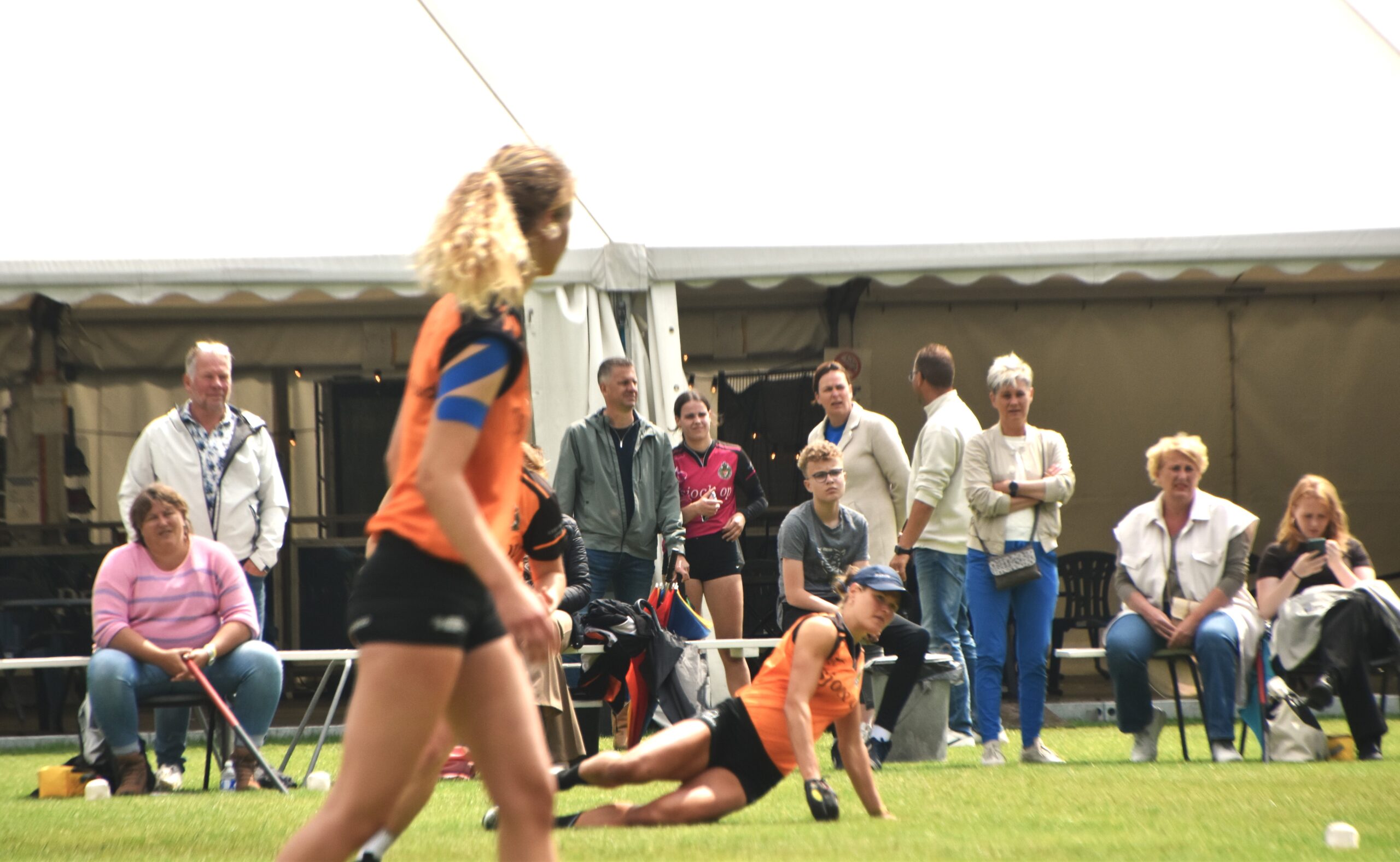 Krol, Wielinga en Lycklama à Nijeholt winnen Gouden Wilhelmina partij
