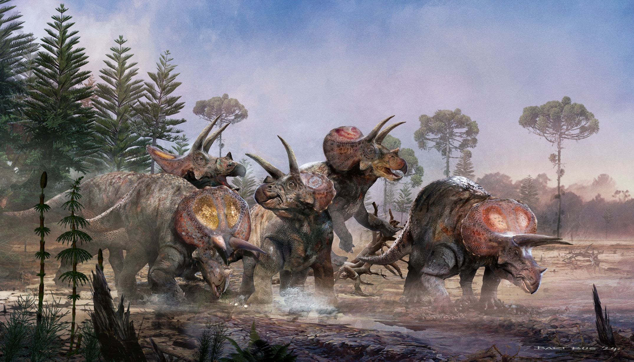 Triceratops, zeven meter lange prehistorische kolos, in Leeuwarden