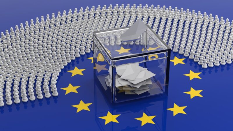 Verkiezingen Europees Parlement – Hoe heeft Leeuwarden gestemd?