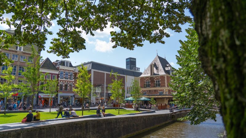 Leeuwarder wil groenere Nieuwestad, blijkt uit online vragenlijst