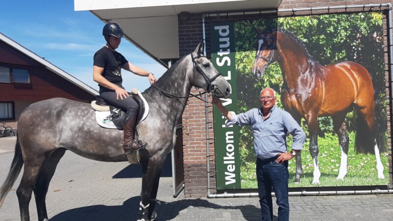 Kampioen en reservekampioen voor VDL Stud uit Bears