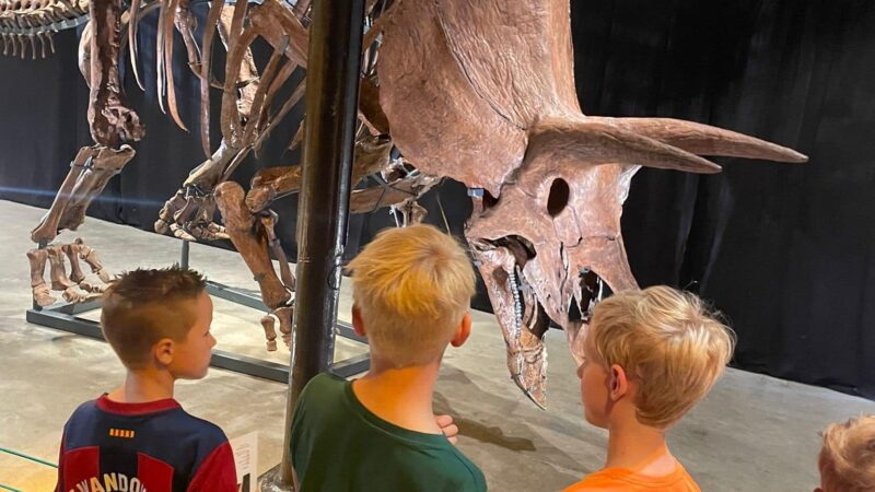 Dino’s in Leeuwarden