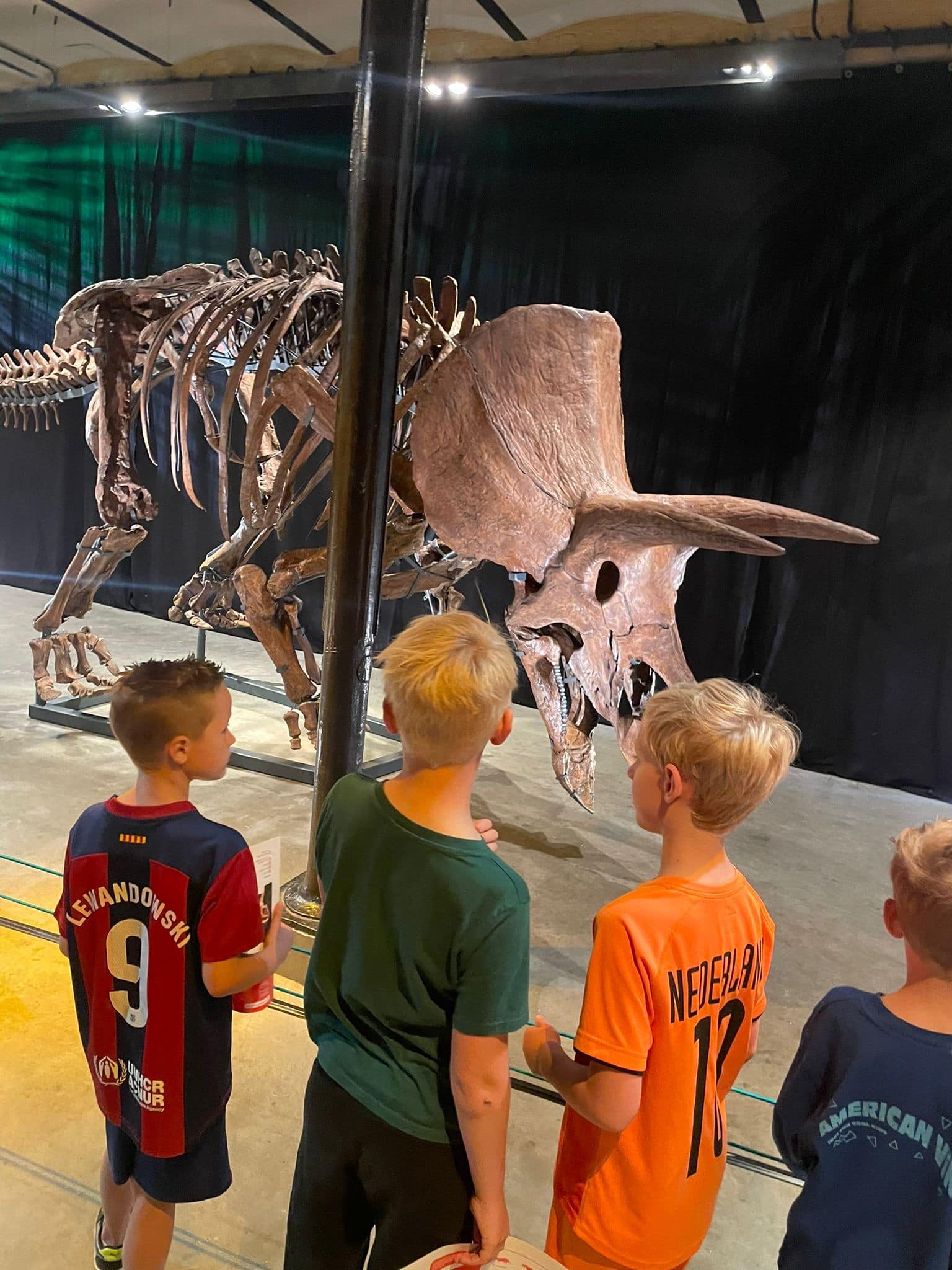 Dino’s in Leeuwarden