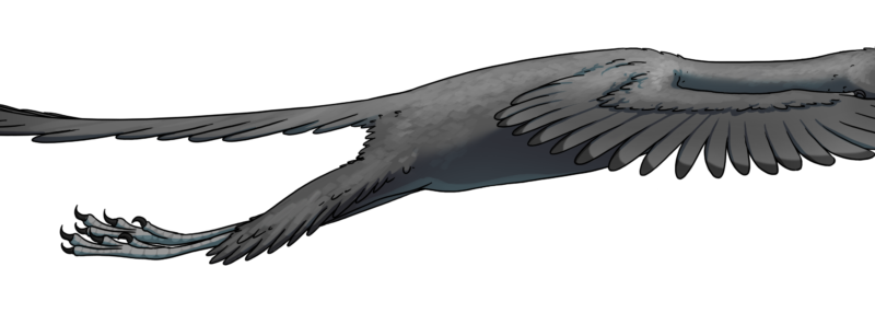 Conservator Natuurmuseum Fryslân doet onderzoek naar ‘de dino van Fryslân’