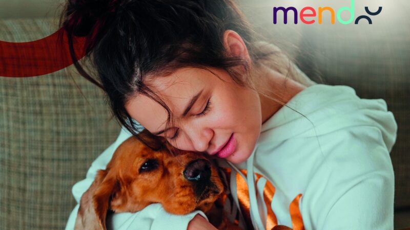 Huisdier speelt vaak belangrijke rol in situaties huiselijk geweld