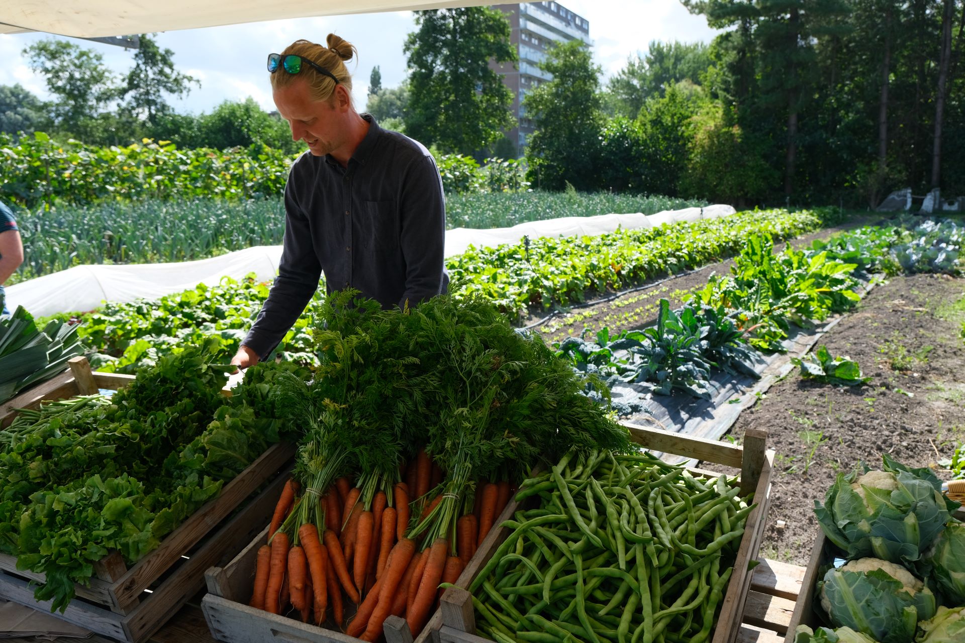 Jaarlijkse oogstfeest Doarpstún Snakkerbuorren op 1 september