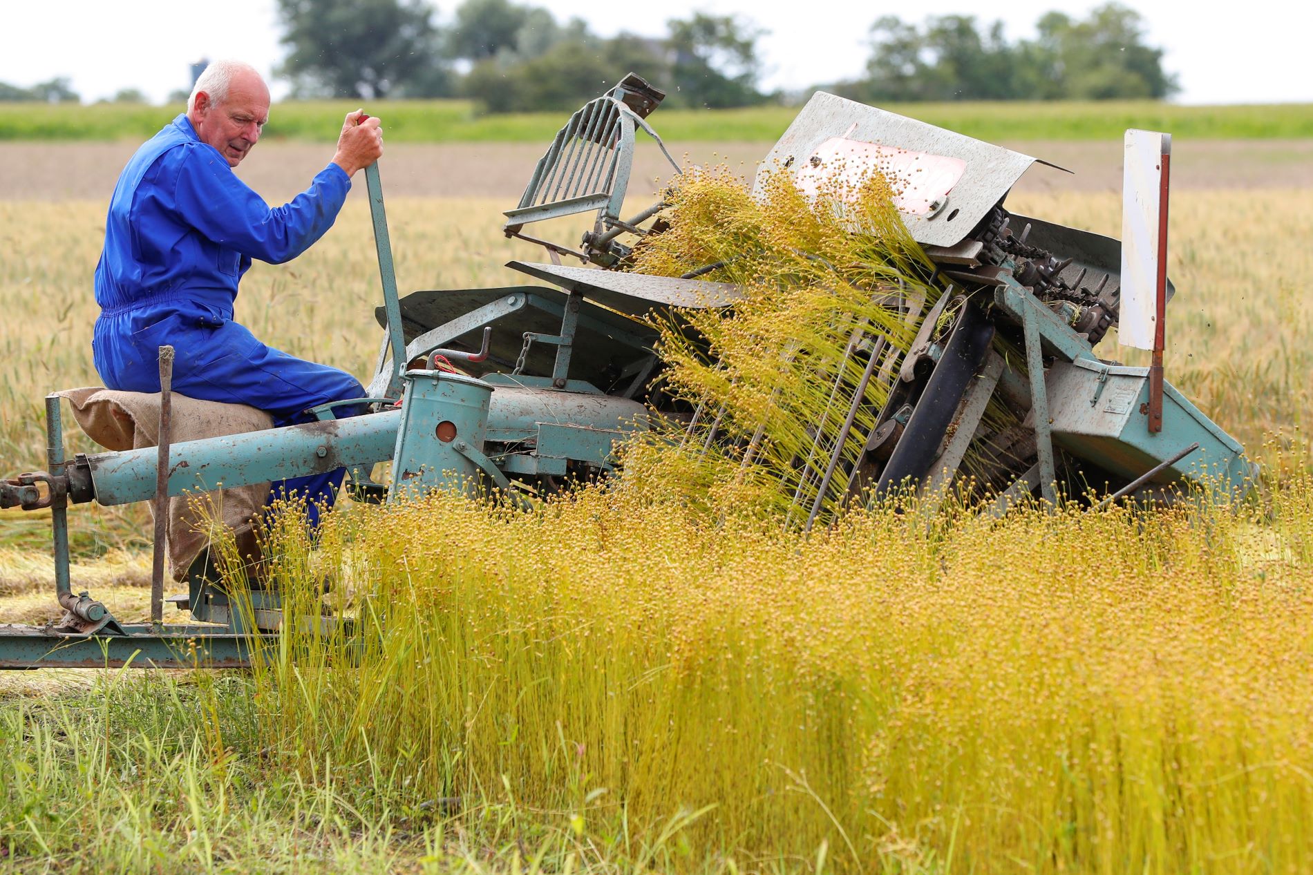 Vlas demonstratiedag bij Fries Landbouwmuseum