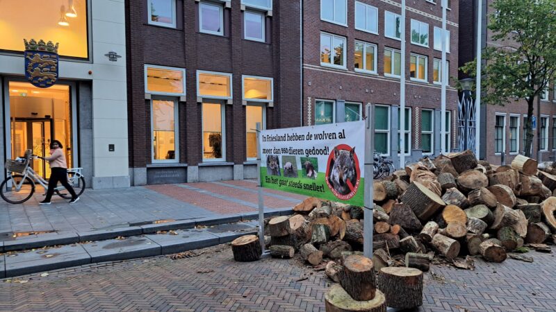 Stichting wolvenhek Fryslân gooit 1000 blokken hout voor de deur van het Provinciehuis