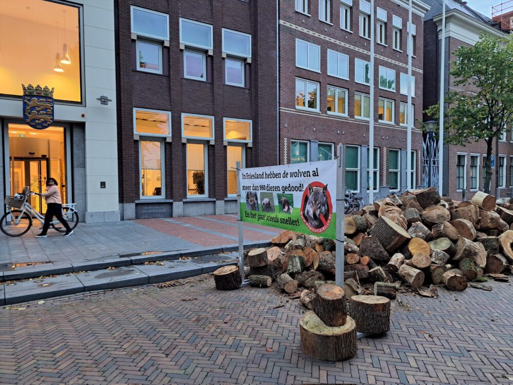 Stichting wolvenhek Fryslân gooit 1000 blokken hout voor de deur van het Provinciehuis