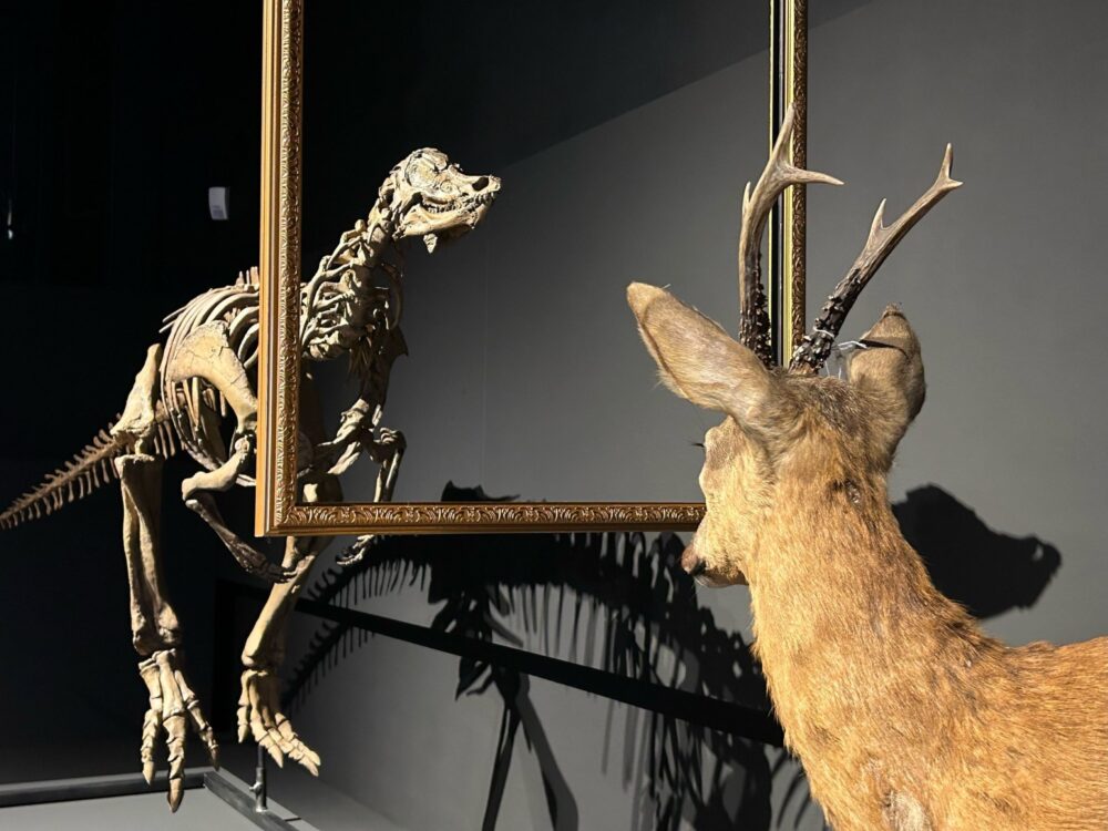 Dino’s trekken veel publiek in Leeuwarden