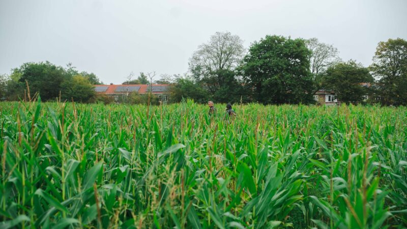 Nieuw tijdelijk sport- en recreatiepark geopend in Nieuw Oud Oost