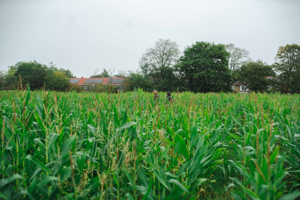 Nieuw tijdelijk sport- en recreatiepark geopend in Nieuw Oud Oost