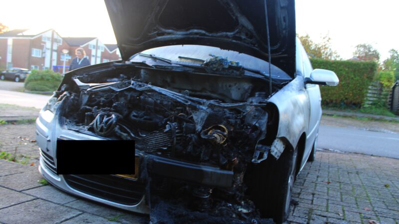 Auto total-loss door brand