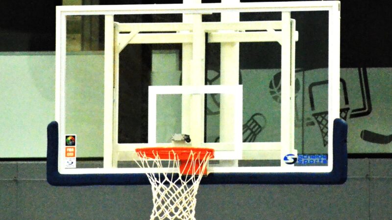 LWD Basket kan uit bij Leuven geen potten breken