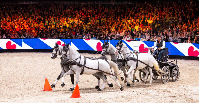Indoor Friesland 2024: spectaculaire paardensport in WTC Expo Leeuwarden