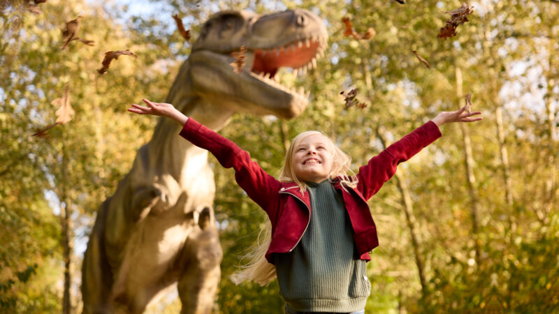Leeuwarden in oktober Dinostad