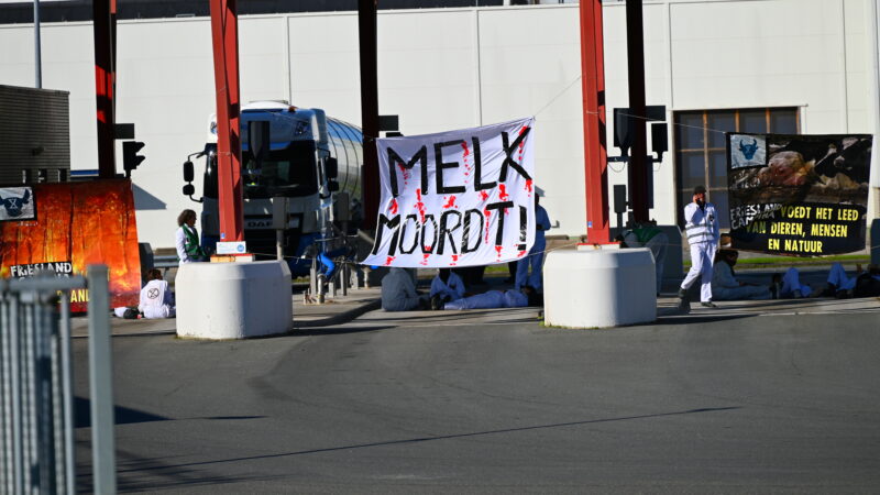 Actievoerders klimmen over hekken van FrieslandCampina in Leeuwarden